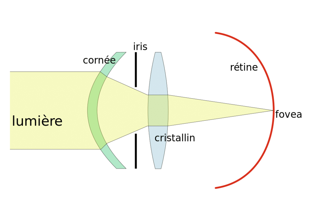 Modèle optique de l'oeil