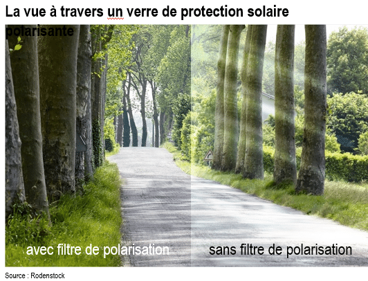 perception polarisant verre