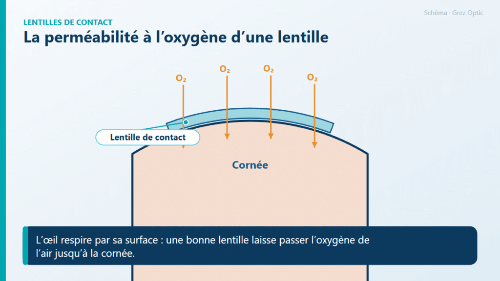 Schéma : La perméabilité à l’oxygène d’une lentille