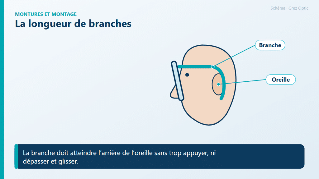 Schéma : La longueur de branches