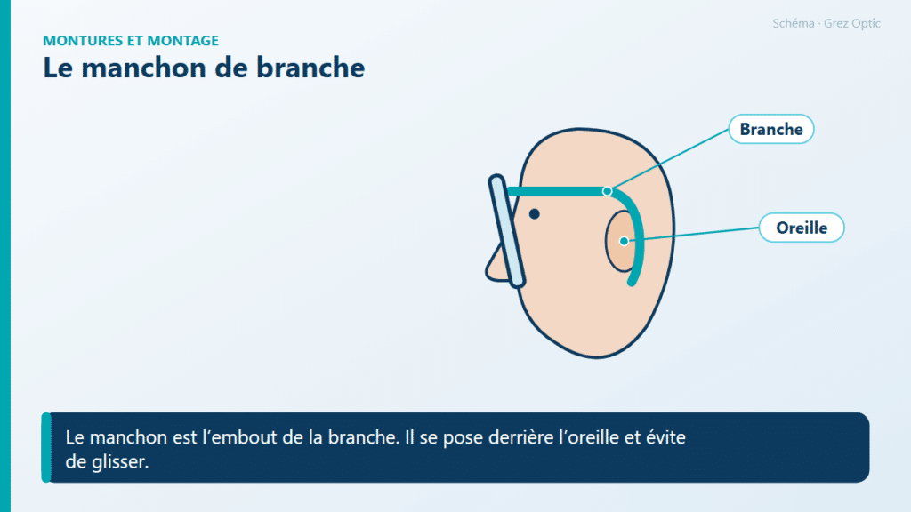 Schéma : Le manchon de branche