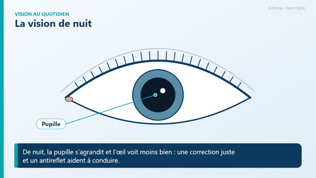 Schéma : La vision de nuit