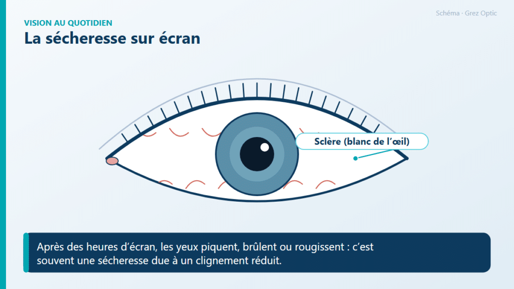 Schéma : La sécheresse sur écran