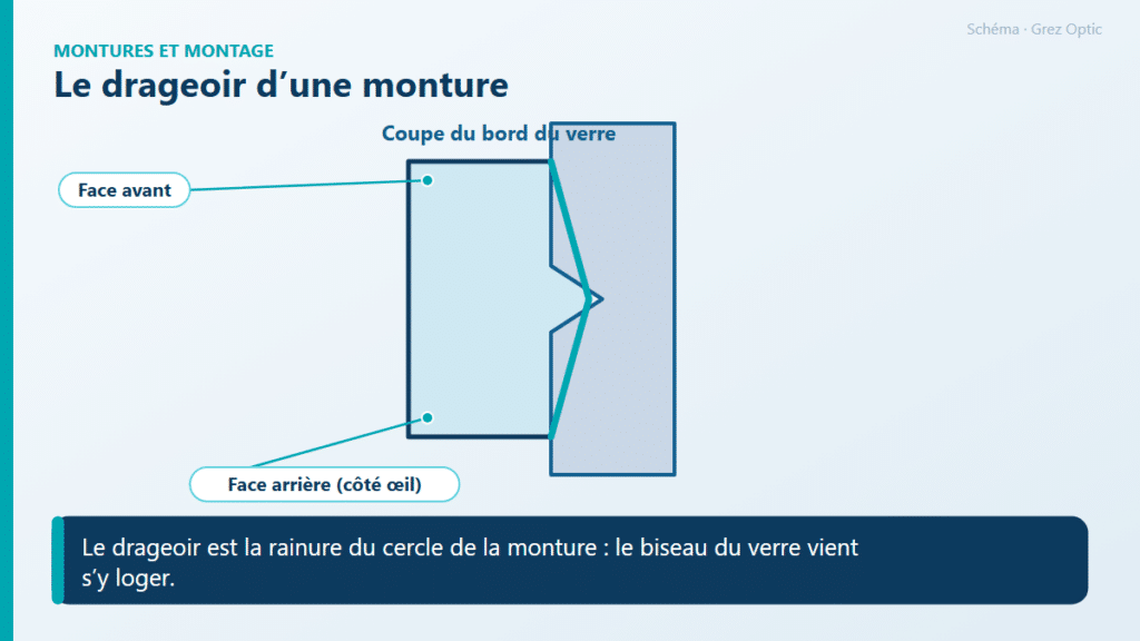 Schéma : Le drageoir d’une monture