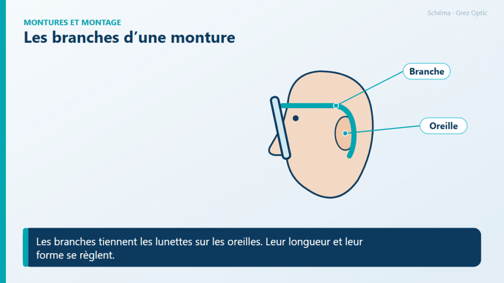 Schéma : Les branches d’une monture