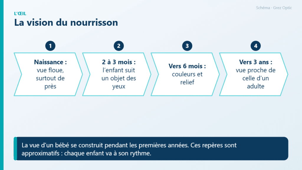 Schéma : La vision du nourrisson