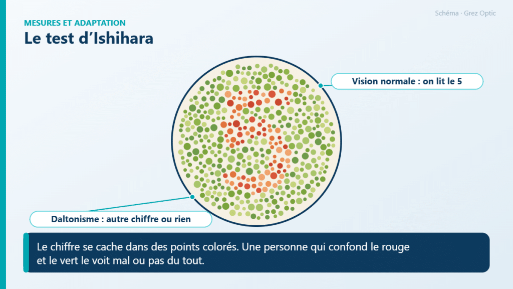 Schéma : Le test d’Ishihara
