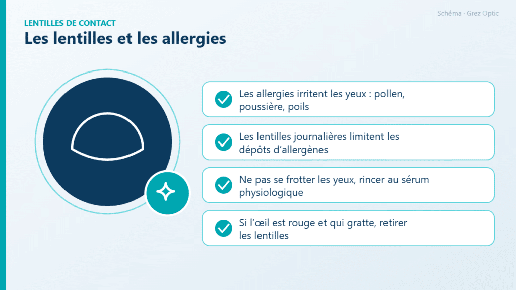 Schéma : Les lentilles et les allergies